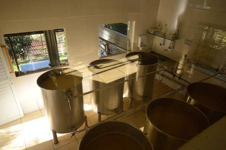 FERMENTAÇÃO