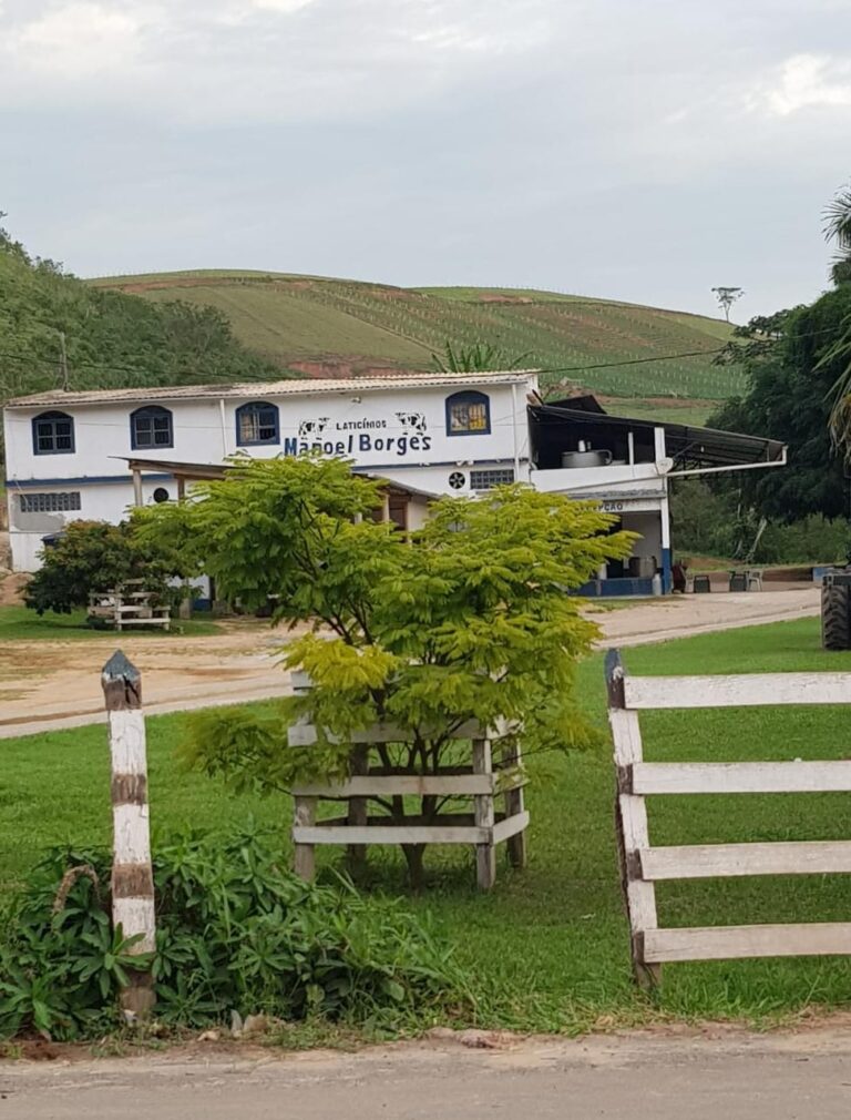 PANORÂMICA