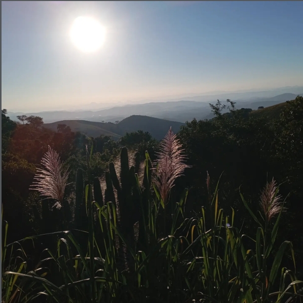 PANORÂMICA