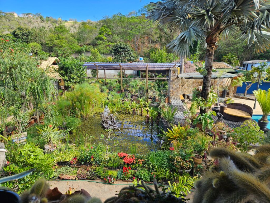 WhatsApp Image 2026-01-16 at 19.26.21 (1)