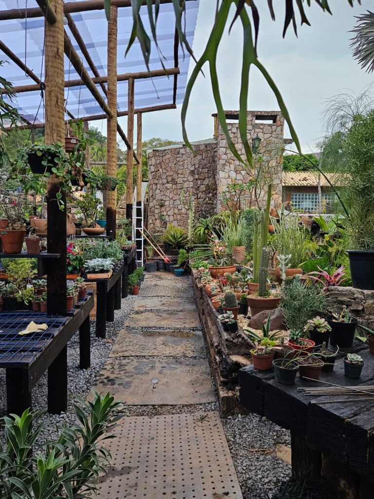 WhatsApp Image 2026-01-16 at 19.26.21 (3)