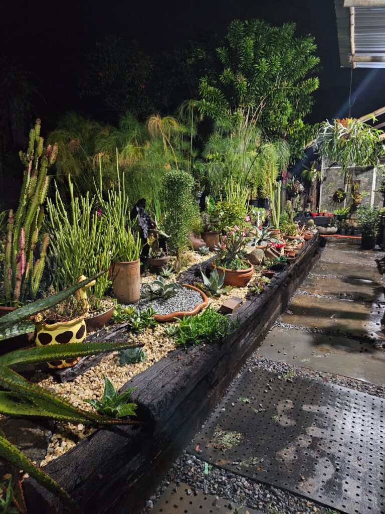 WhatsApp Image 2026-01-16 at 19.26.21