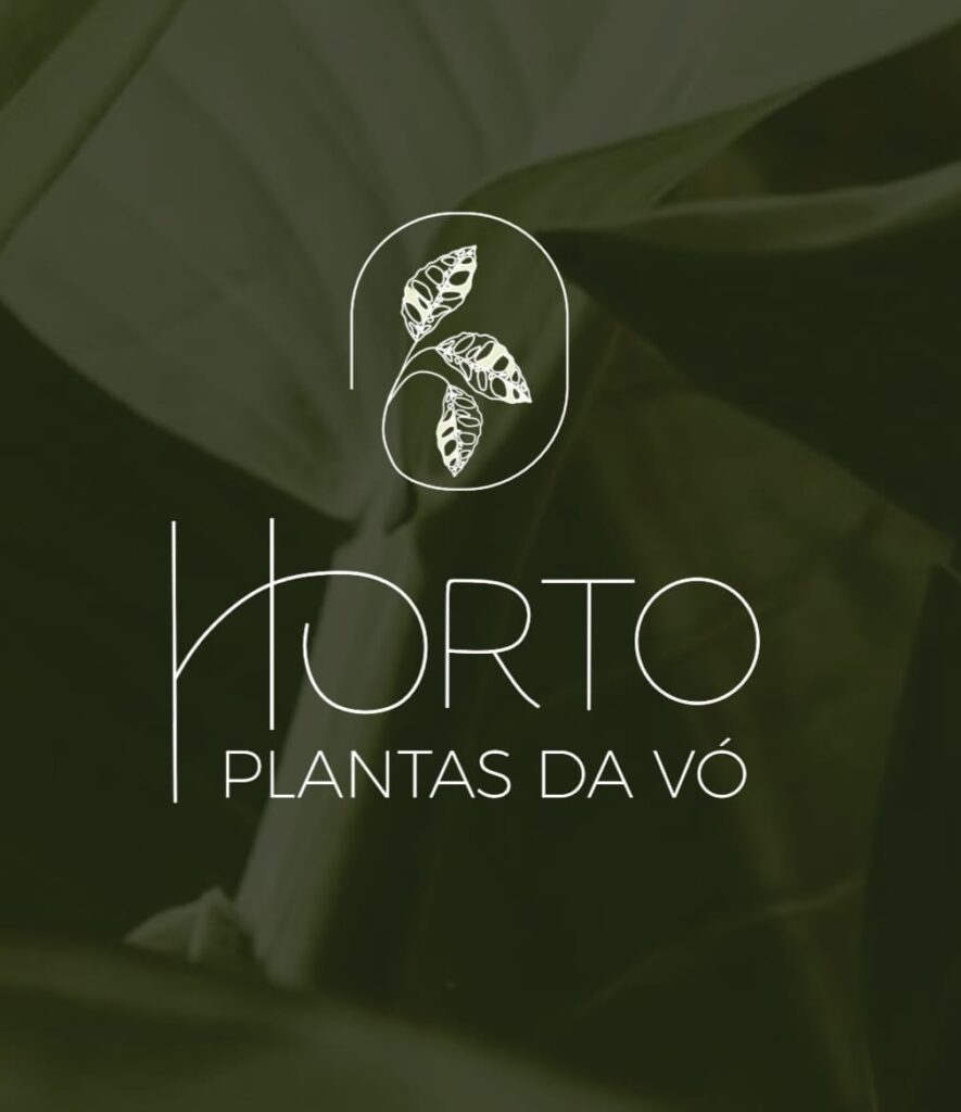 WhatsApp Image 2026-01-16 at 19.26.22