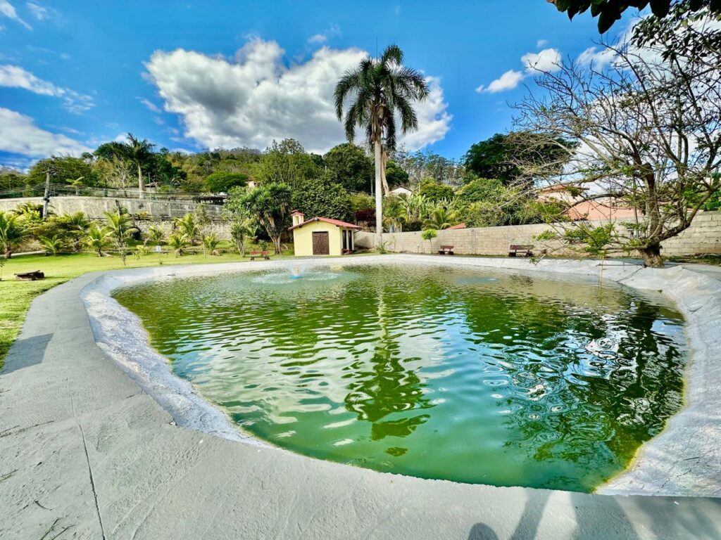 WhatsApp Image 2026-02-03 at 18.33.15