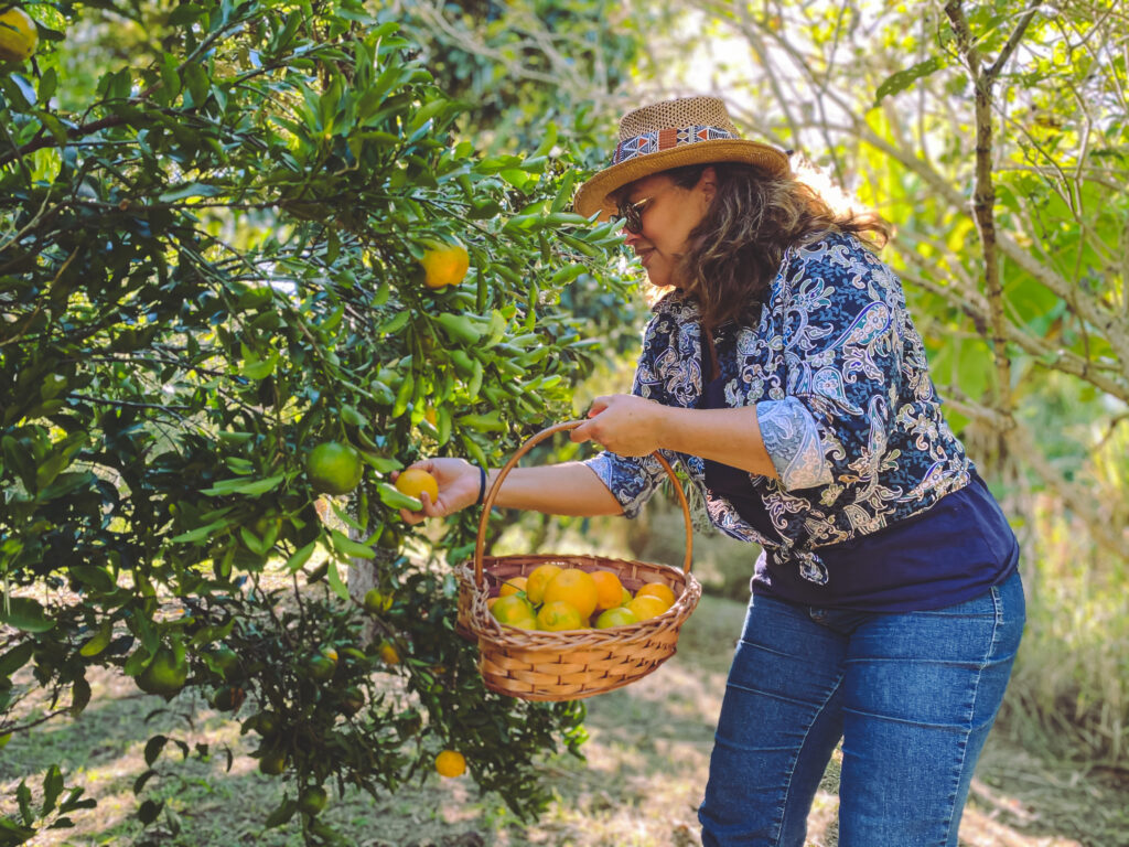 Rota ArcozeloCentro foto pequena 1